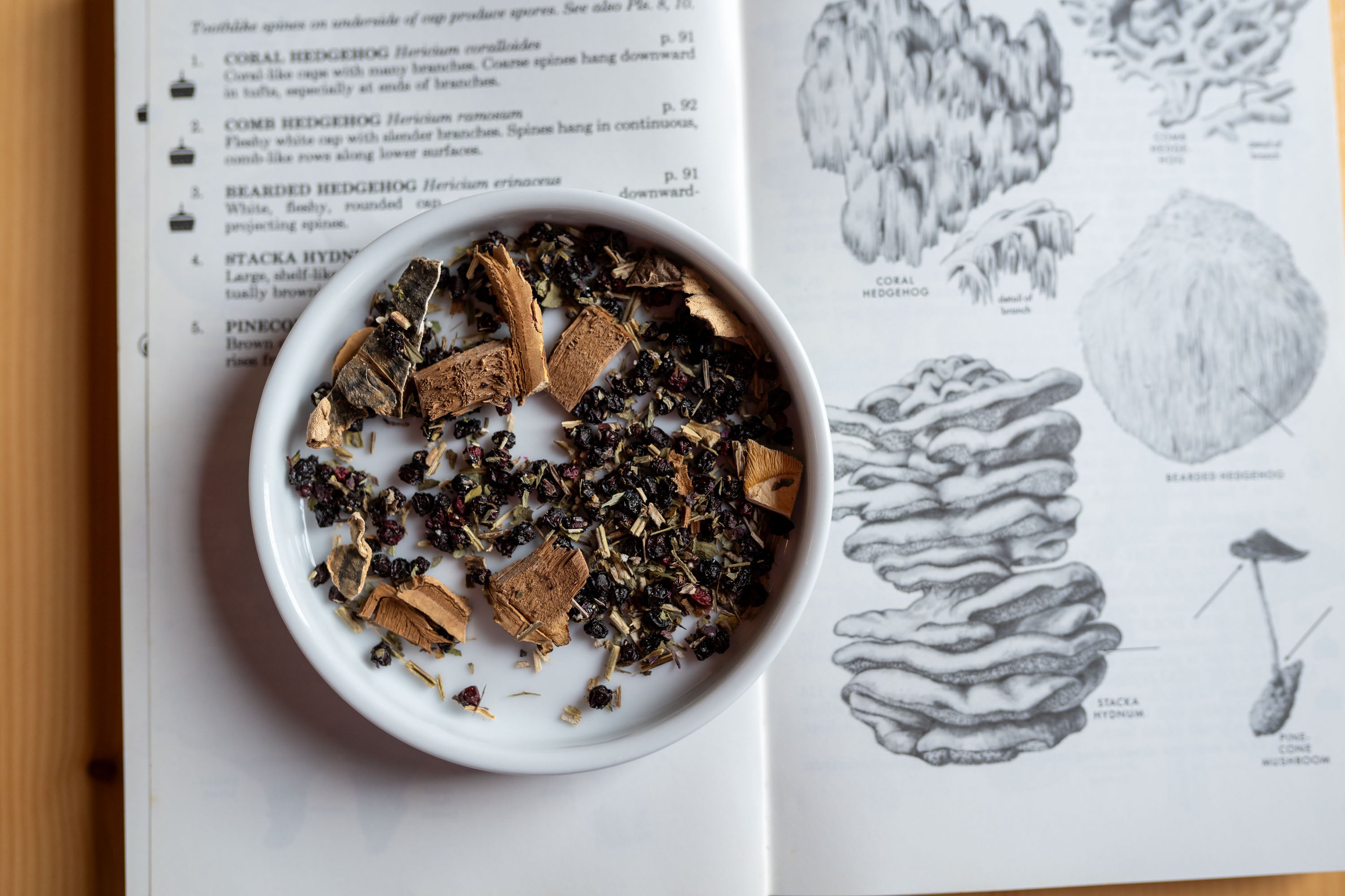 Be Well Get Well Mushroom Tea | 16 Bags
