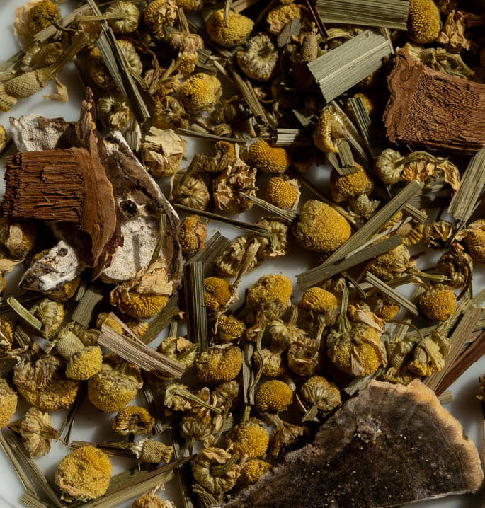 Relax Mushroom Tea | 16 Bags