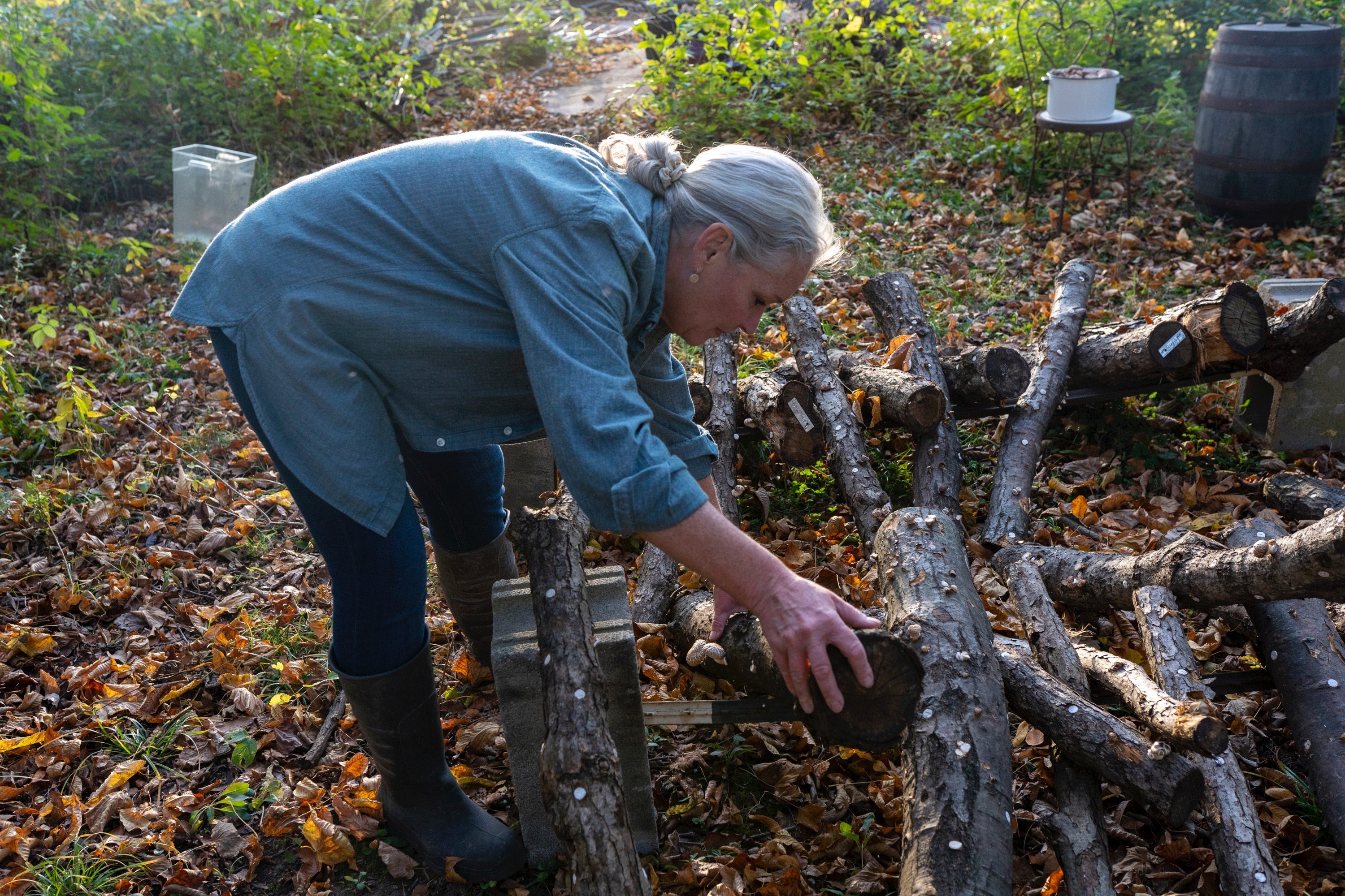 Our 5-Year Origin Story