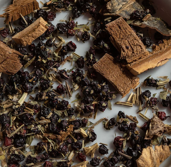 Be Well Get Well Mushroom Tea | 16 Bags