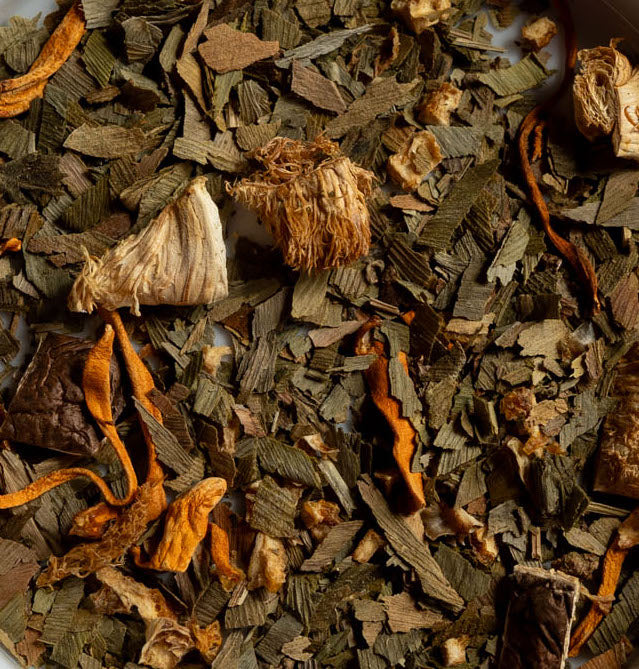 Brain Food Mushroom Tea | 16 Bags